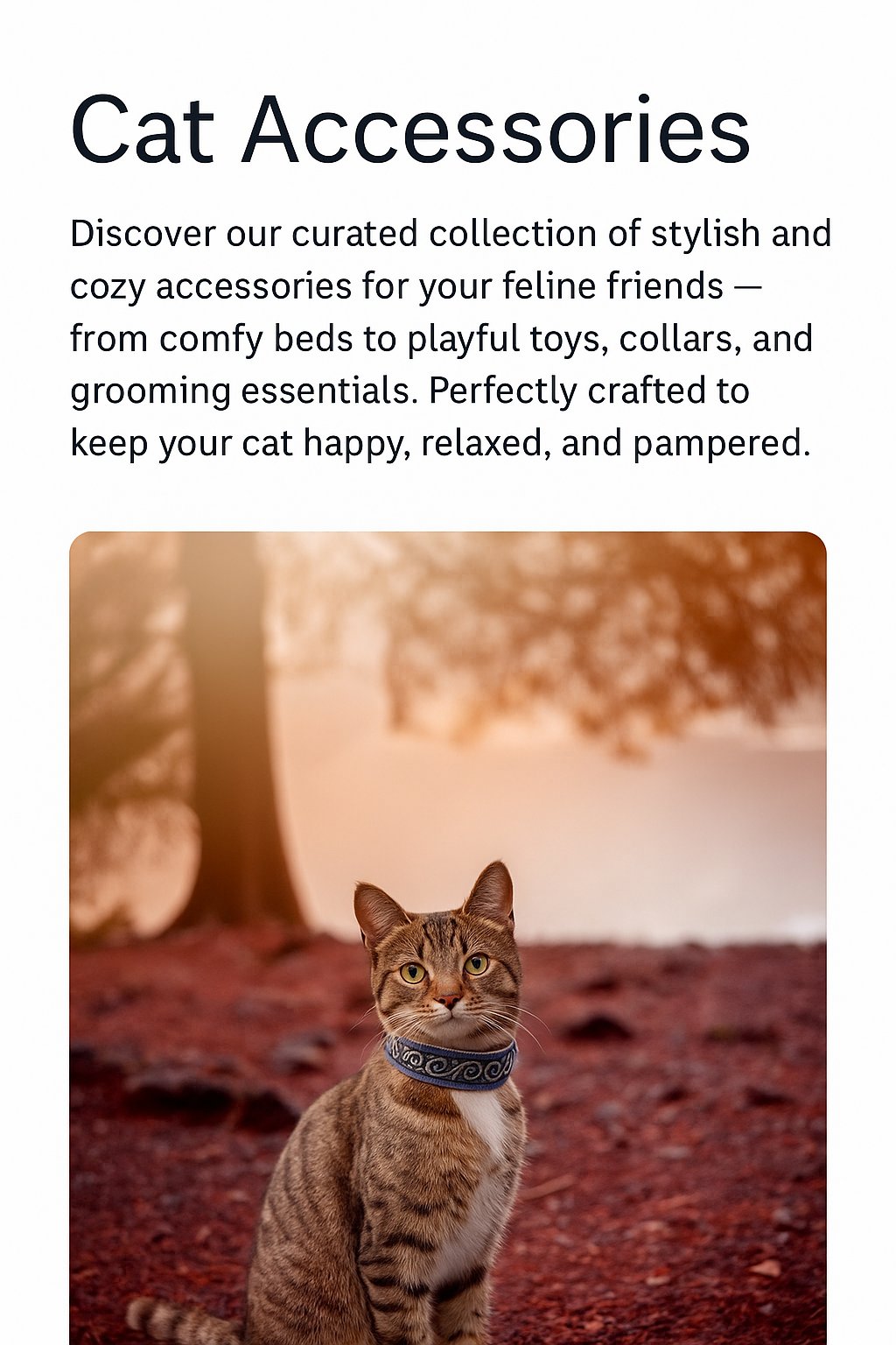Cat Accessories